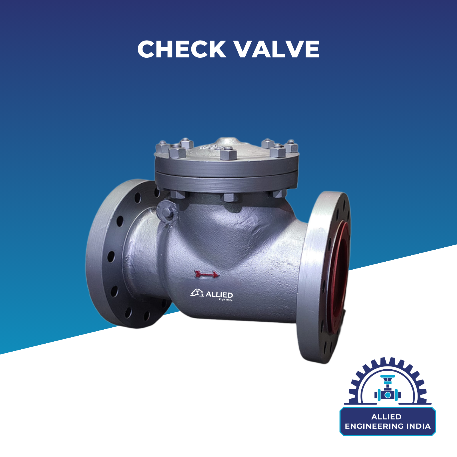 Check Valve
