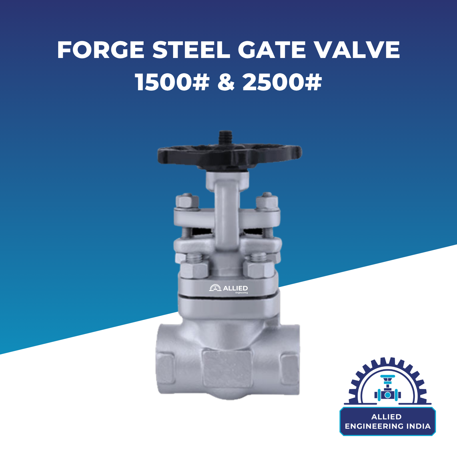 Forge Steel Gate Valve 1500# & 2500#