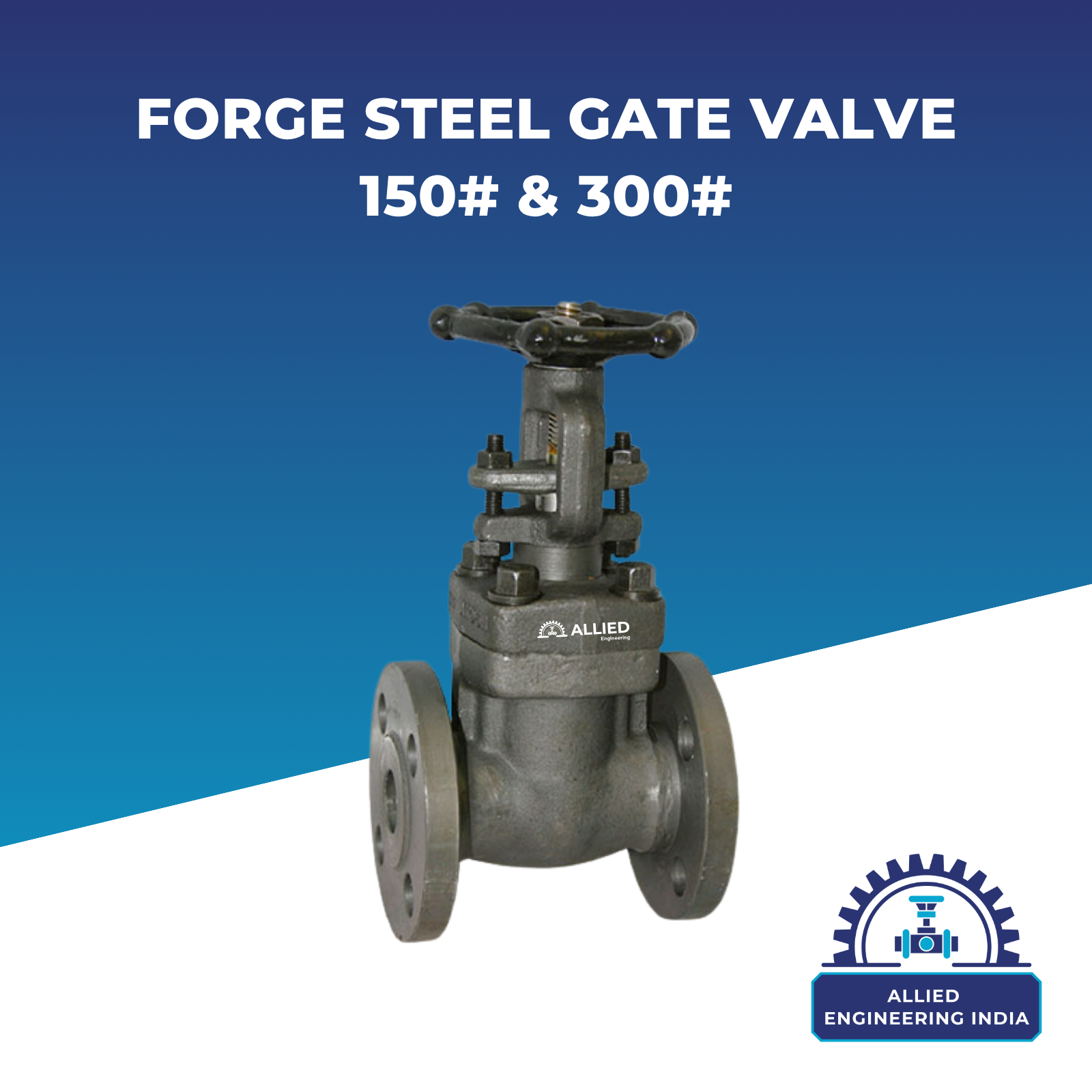 Forge Steel Gate Valve 150# & 300#